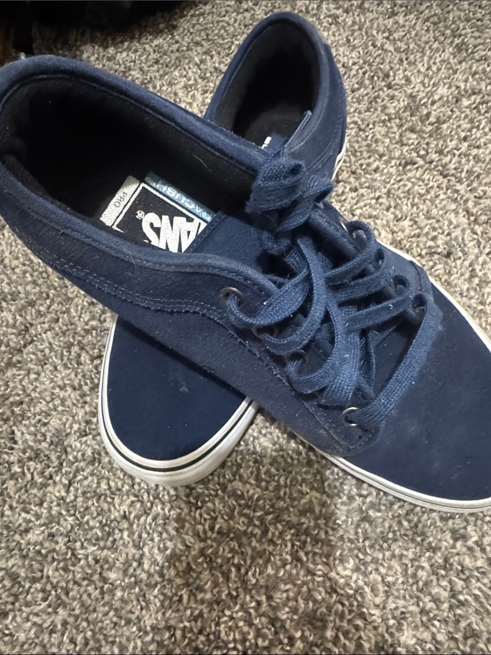 Vans Men's Navy Canvas Low-Top Sneakers